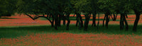 http://c328301.r1.cf1.rackcdn.com/PPI41361L.jpg