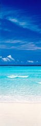 http://c328301.r1.cf1.rackcdn.com/PPI44069S.jpg