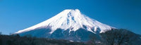 http://c328301.r1.cf1.rackcdn.com/PPI44514L.jpg