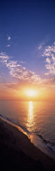 http://c328301.r1.cf1.rackcdn.com/PPI44614S.jpg