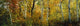 http://c328301.r1.cf1.rackcdn.com/PPI45063S.jpg