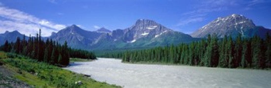 http://c328301.r1.cf1.rackcdn.com/PPI46330L.jpg