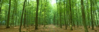 http://c328301.r1.cf1.rackcdn.com/PPI46584L.jpg
