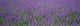 http://c328301.r1.cf1.rackcdn.com/PPI46625S.jpg