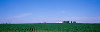 http://c328301.r1.cf1.rackcdn.com/PPI50115L.jpg