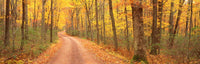 http://c328301.r1.cf1.rackcdn.com/PPI50172S.jpg