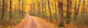 http://c328301.r1.cf1.rackcdn.com/PPI50172S.jpg