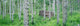 http://c328301.r1.cf1.rackcdn.com/PPI53087S.jpg