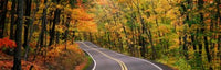 http://c328301.r1.cf1.rackcdn.com/PPI56035S.jpg