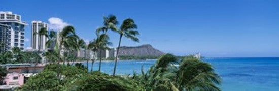 http://c328301.r1.cf1.rackcdn.com/PPI56469L.jpg