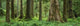 http://c328301.r1.cf1.rackcdn.com/PPI56504S.jpg
