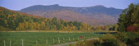 http://c328301.r1.cf1.rackcdn.com/PPI59332S.jpg