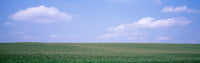 http://c328301.r1.cf1.rackcdn.com/PPI61832L.jpg