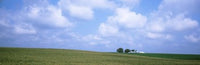 http://c328301.r1.cf1.rackcdn.com/PPI61854S.jpg