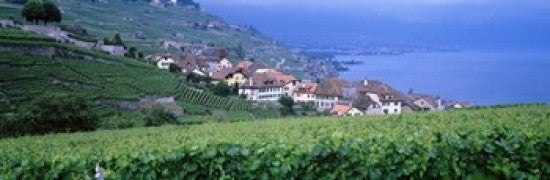 http://c328301.r1.cf1.rackcdn.com/PPI62036L.jpg