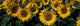 http://c328301.r1.cf1.rackcdn.com/PPI65023S.jpg