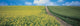 http://c328301.r1.cf1.rackcdn.com/PPI65719S.jpg