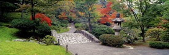 http://c328301.r1.cf1.rackcdn.com/PPI68926L.jpg