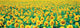 http://c328301.r1.cf1.rackcdn.com/PPI69824S.jpg