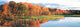 http://c328301.r1.cf1.rackcdn.com/PPI70242S.jpg