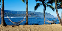 http://c328301.r1.cf1.rackcdn.com/PPI70455L.jpg