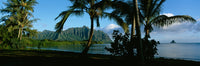 http://c328301.r1.cf1.rackcdn.com/PPI70913S.jpg
