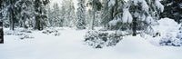http://c328301.r1.cf1.rackcdn.com/PPI75154S.jpg