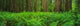 http://c328301.r1.cf1.rackcdn.com/PPI75168S.jpg