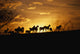 http://c328301.r1.cf1.rackcdn.com/PPI75636S.jpg