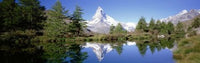 http://c328301.r1.cf1.rackcdn.com/PPI76667L.jpg