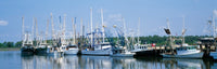 http://c328301.r1.cf1.rackcdn.com/PPI77820L.jpg