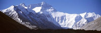 http://c328301.r1.cf1.rackcdn.com/PPI77874L.jpg