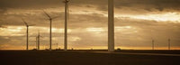 http://c328301.r1.cf1.rackcdn.com/PPI79741L.jpg