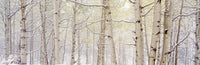 http://c328301.r1.cf1.rackcdn.com/PPI80513L.jpg