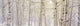http://c328301.r1.cf1.rackcdn.com/PPI80513S.jpg