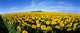 http://c328301.r1.cf1.rackcdn.com/PPI82024S.jpg