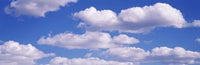 http://c328301.r1.cf1.rackcdn.com/PPI83922L.jpg