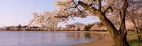 http://c328301.r1.cf1.rackcdn.com/PPI83952L.jpg