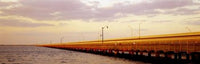 http://c328301.r1.cf1.rackcdn.com/PPI84559S.jpg