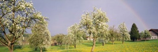 http://c328301.r1.cf1.rackcdn.com/PPI85058S.jpg