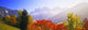 http://c328301.r1.cf1.rackcdn.com/PPI86516S.jpg