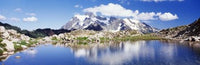 http://c328301.r1.cf1.rackcdn.com/PPI86755S.jpg