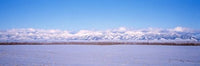 http://c328301.r1.cf1.rackcdn.com/PPI87229S.jpg