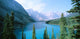 http://c328301.r1.cf1.rackcdn.com/PPI90668S.jpg