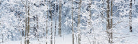 http://c328301.r1.cf1.rackcdn.com/PPI92212L.jpg