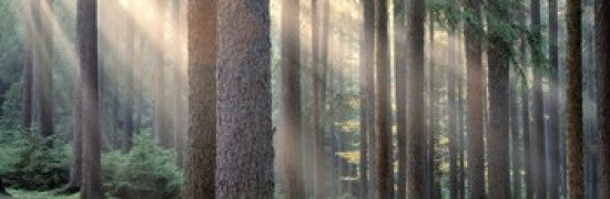 http://c328301.r1.cf1.rackcdn.com/PPI94327S.jpg