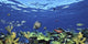 http://c328301.r1.cf1.rackcdn.com/PPI97043S.jpg