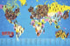 World Map of Beer Rolled Poster Print - 36x24