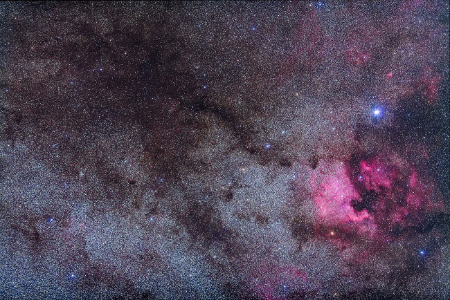 North America Nebula and dark nebulae in Cygnus Poster Print by Alan Dyer