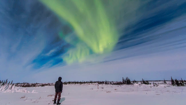 Aurora Borealis under bright moonlight in Churchill, Manitoba Poster Print by Alan Dyer